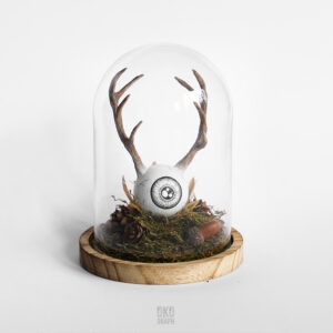 “Série Fragment : Forêt”