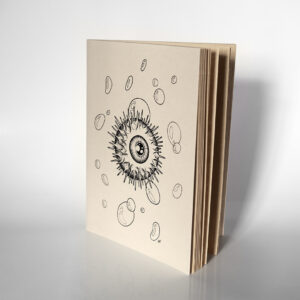 Carnet « Globes : Bulle »