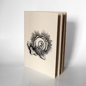 Carnet « Globes : Protection »