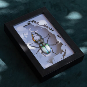 Papier 3D « Lucane cerf-volant »